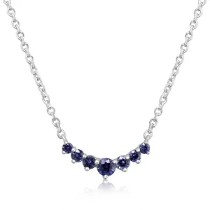 14K White Gold Sapphire Neckpiece