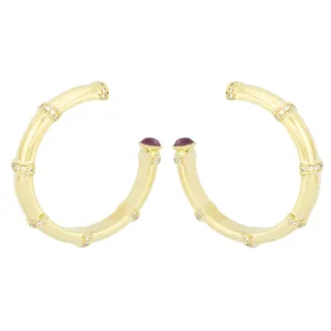 Earrings - Diamond And Ruby