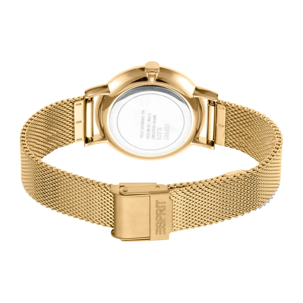 Esprit Ladies IP Gold Stainless Steel Watch Multi Color Dial & Mesh Bracelet