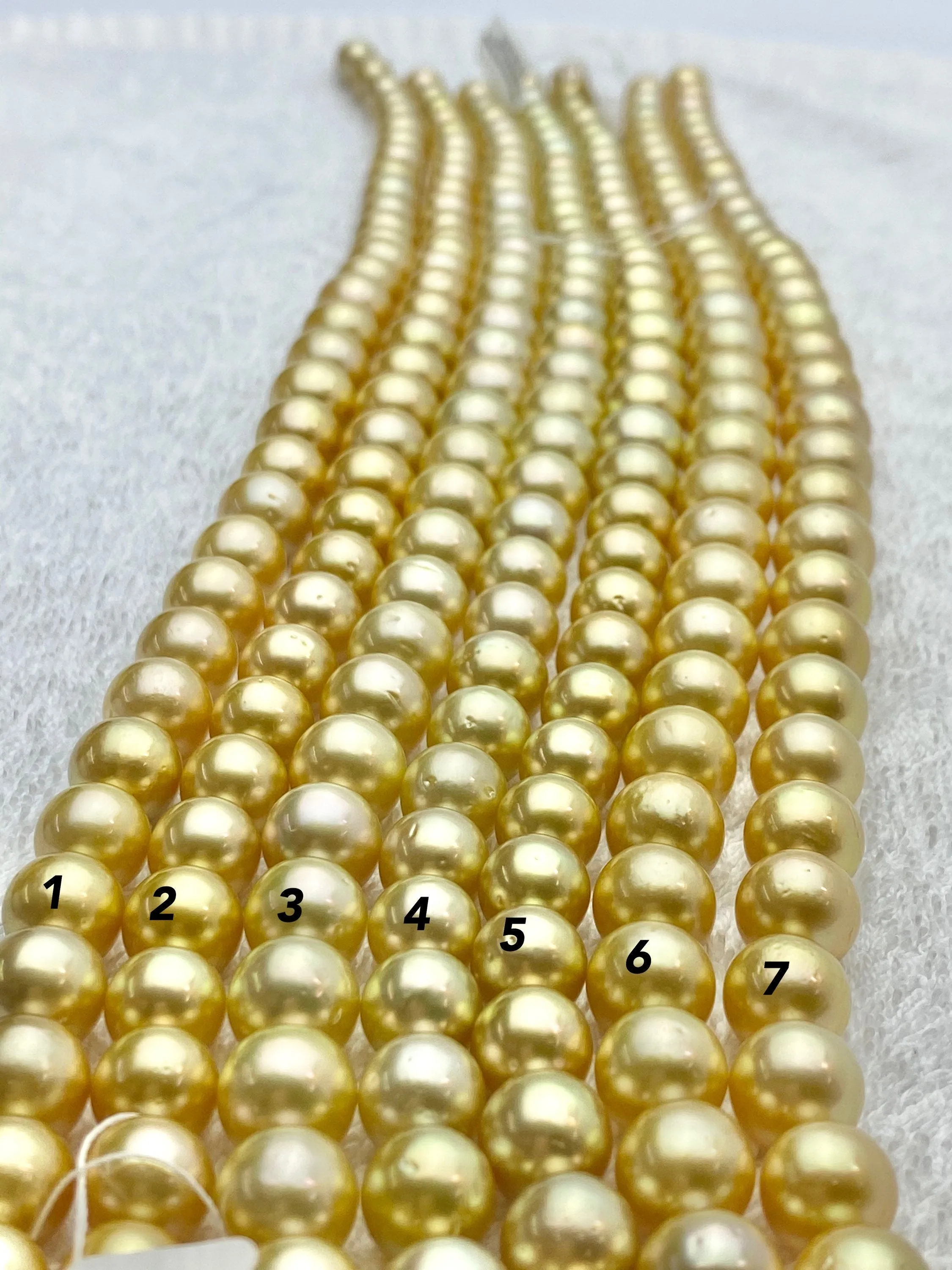 Golden south sea pearl strands, 100% Natural Colors, golden pearls, round pearls (924)