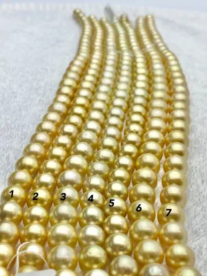 Golden south sea pearl strands, 100% Natural Colors, golden pearls, round pearls (924)
