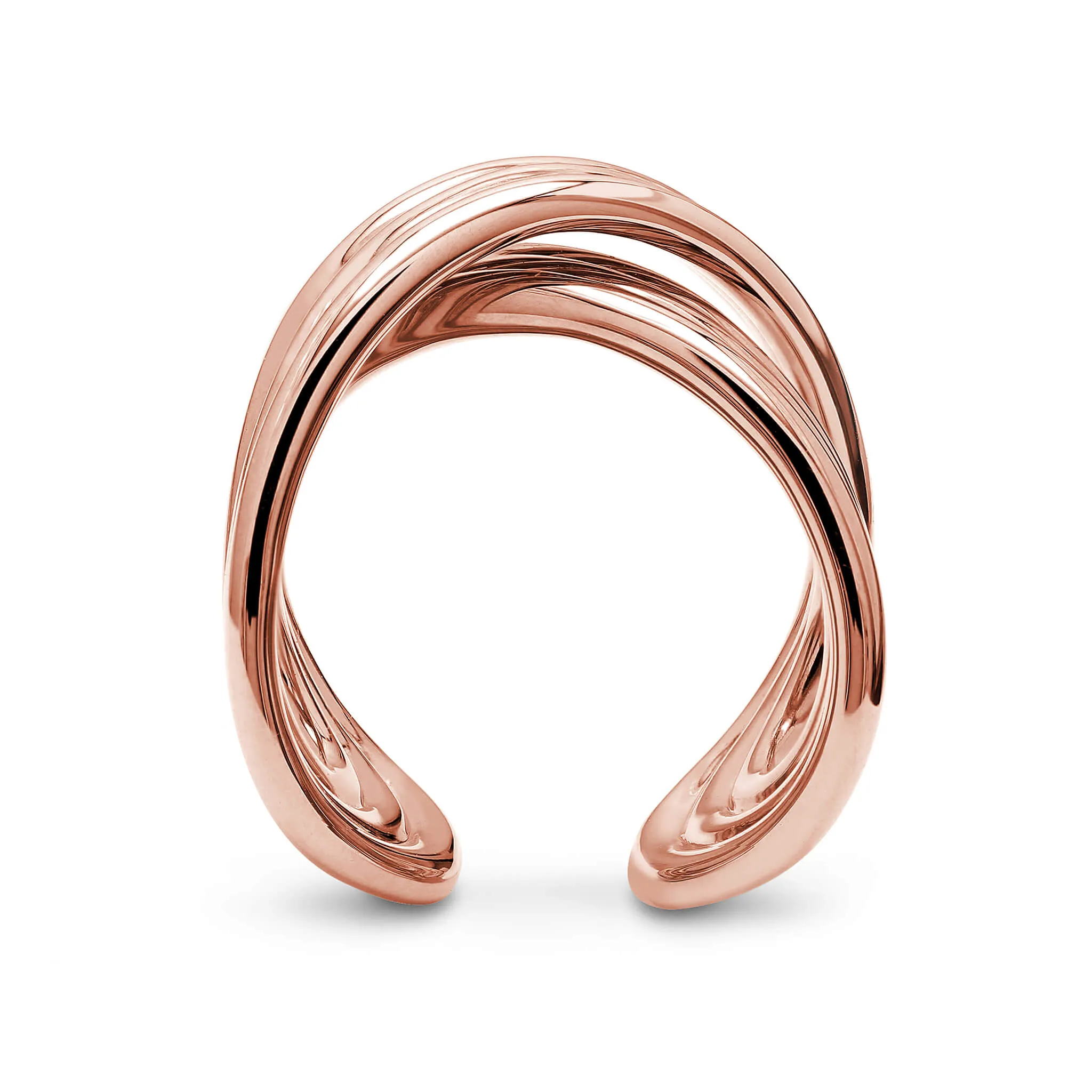 Infinity Fluet Ring