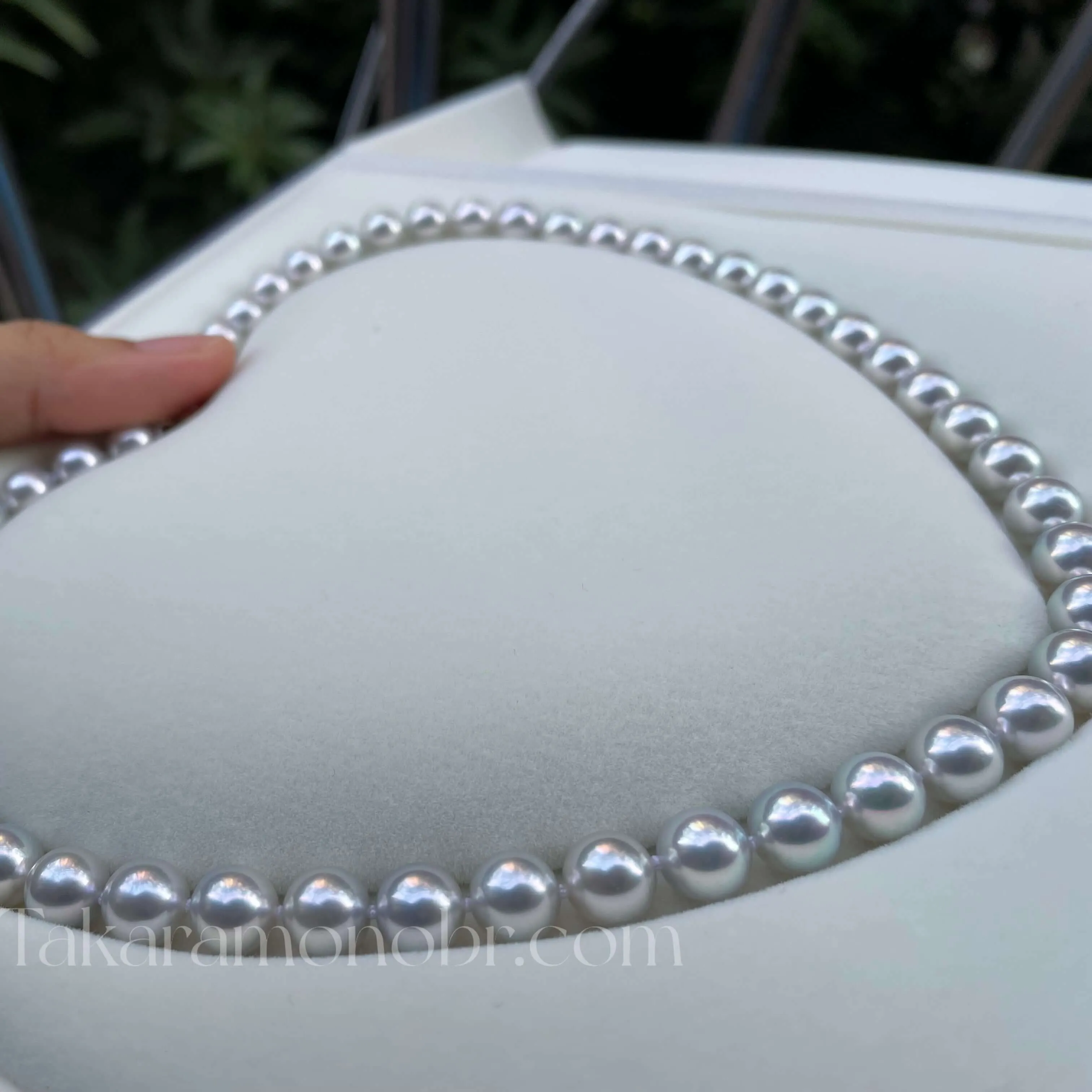 MADAMA | 真多麻 | 8.0-8.5 mm Natural Silver-Blue Akoya Pearl Necklace - PSL Certificate
