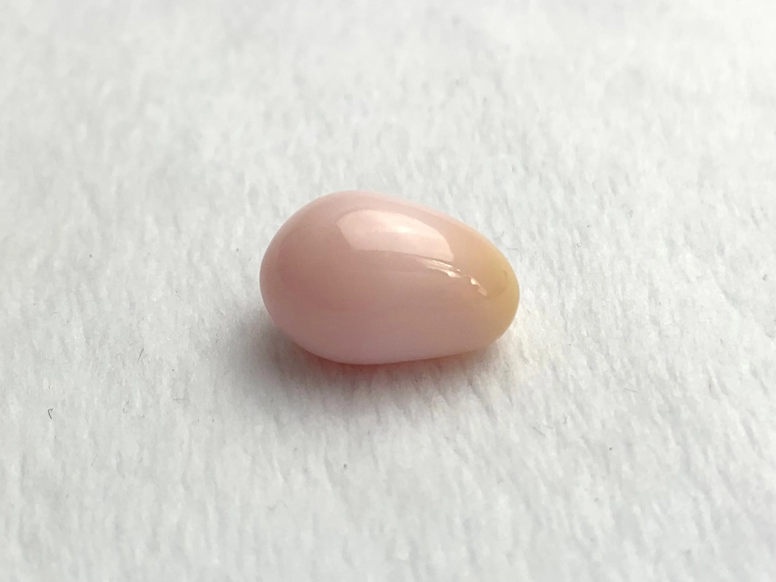 Natural Conch Loose Pearl 15.1ct #28