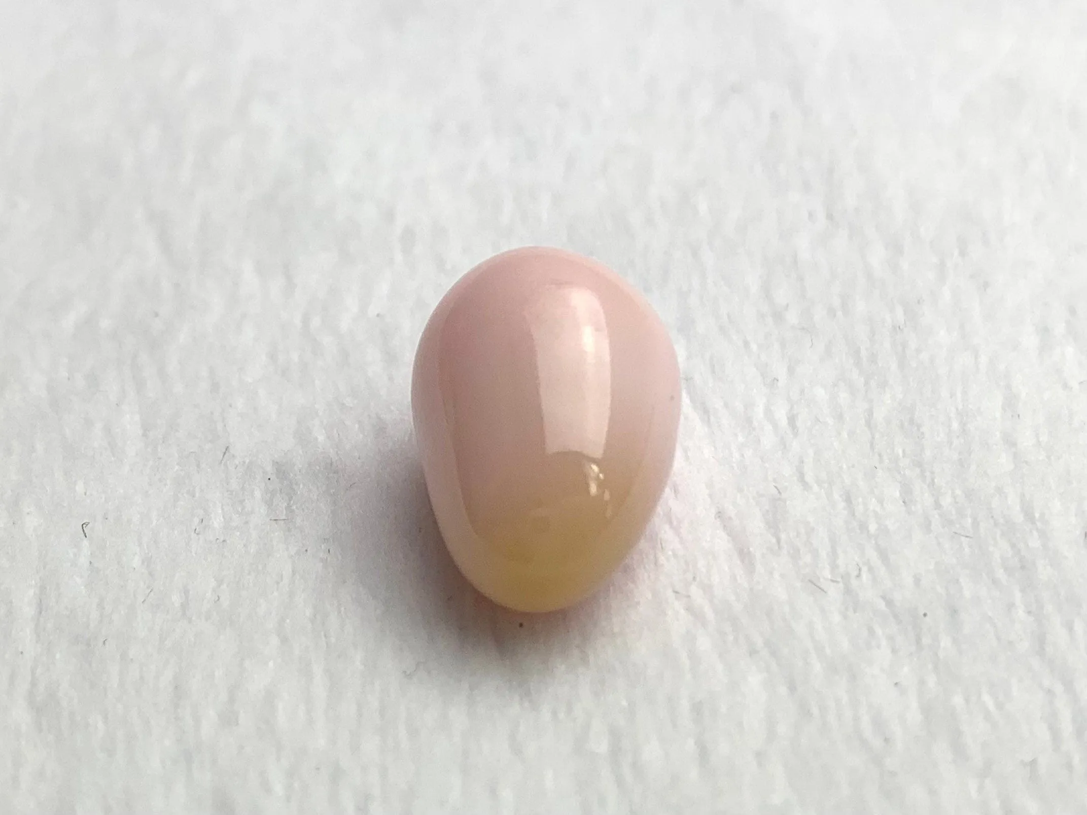 Natural Conch Loose Pearl 15.1ct #28