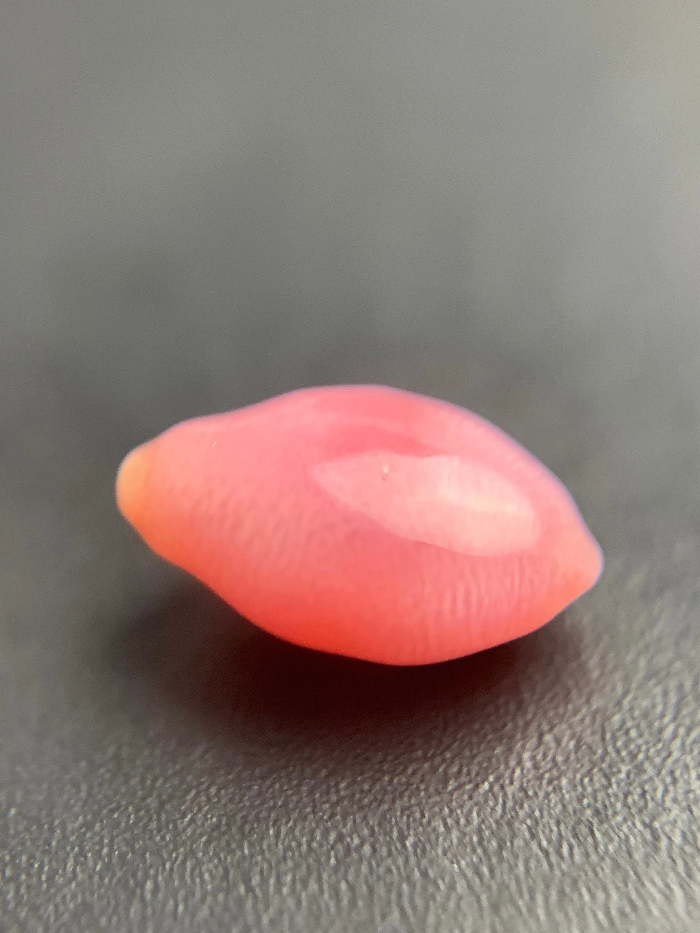 Natural conch Loose Pearl 1.52ct No.50