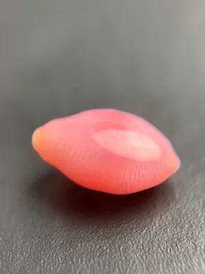 Natural conch Loose Pearl 1.52ct No.50