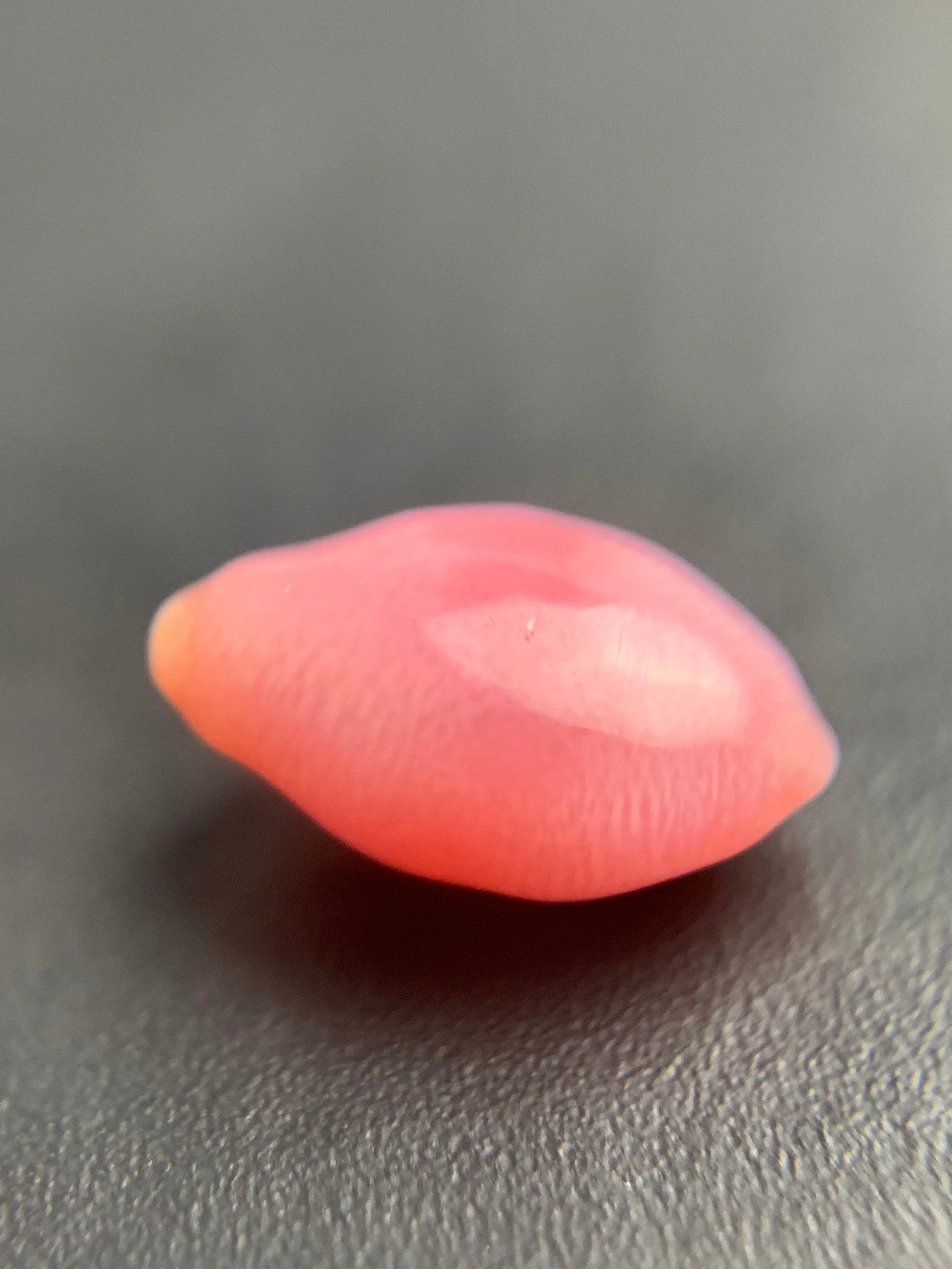 Natural conch Loose Pearl 1.52ct No.50