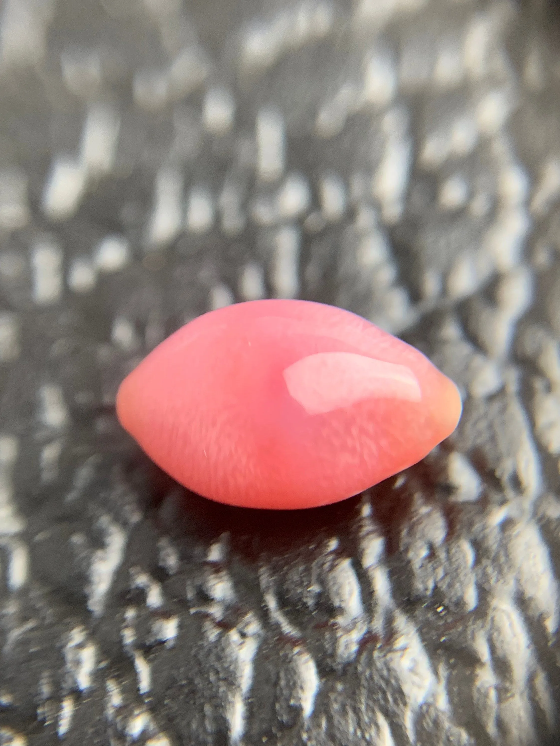 Natural conch Loose Pearl 1.52ct No.50
