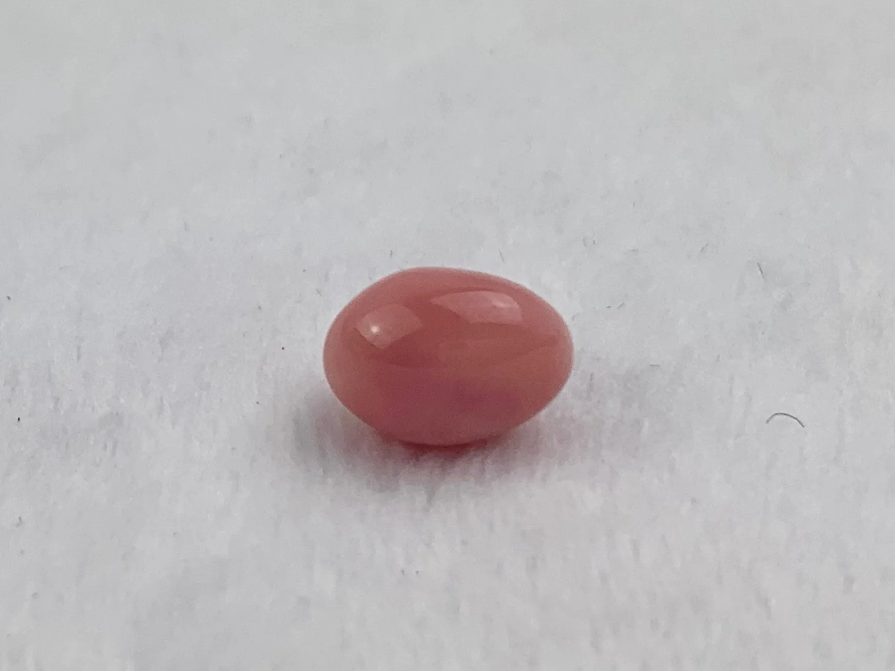 Natural Conch Loose Pearl 3.33ct No.32