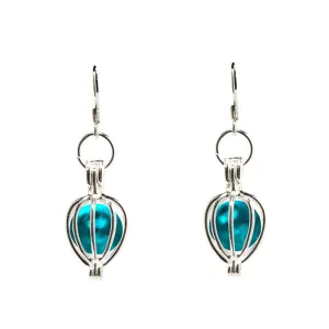 Silver Drop Earrings