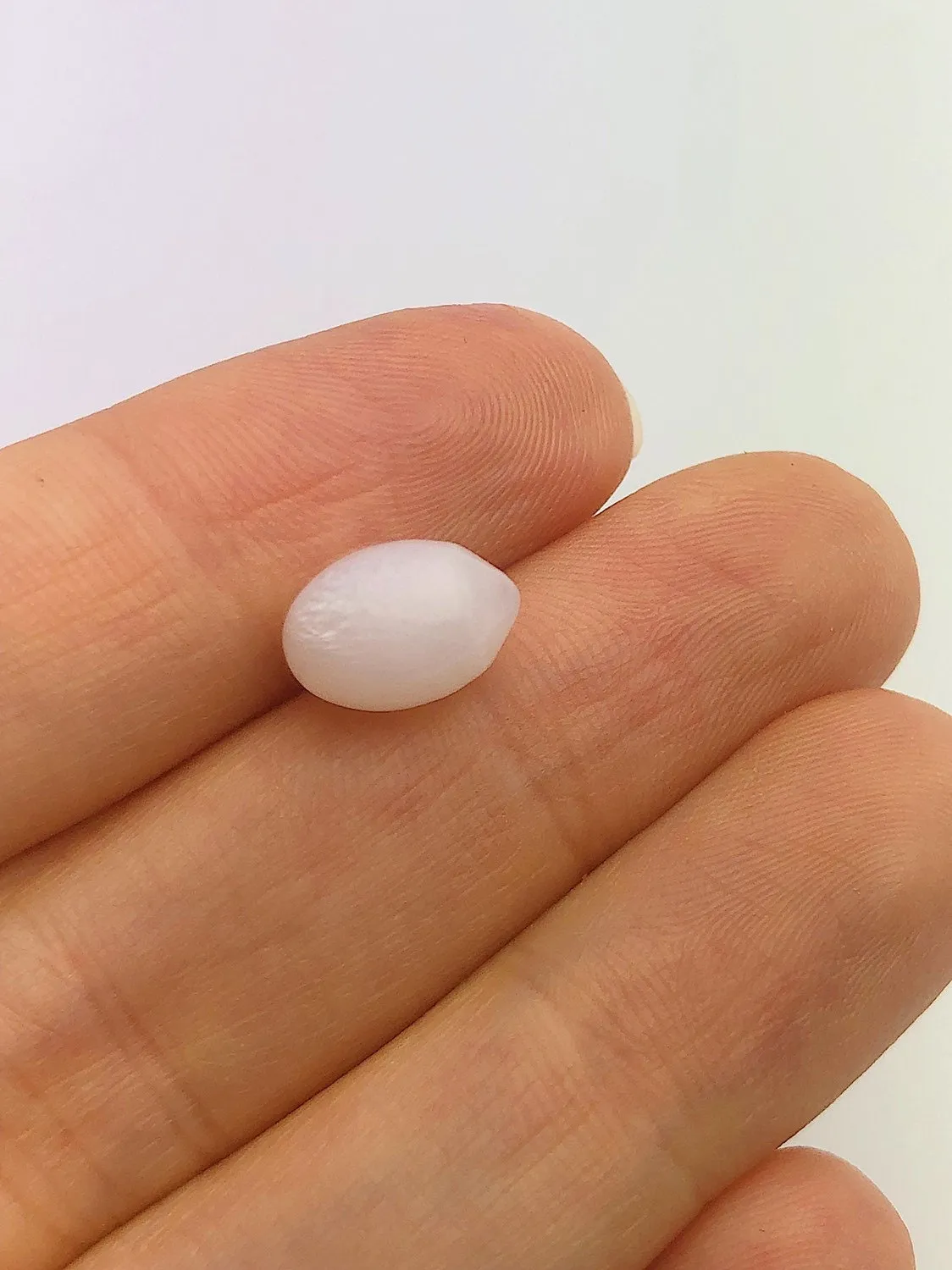 Tridacna White Clam Pearl Loose 10.88mm x 7.52mm No. 38