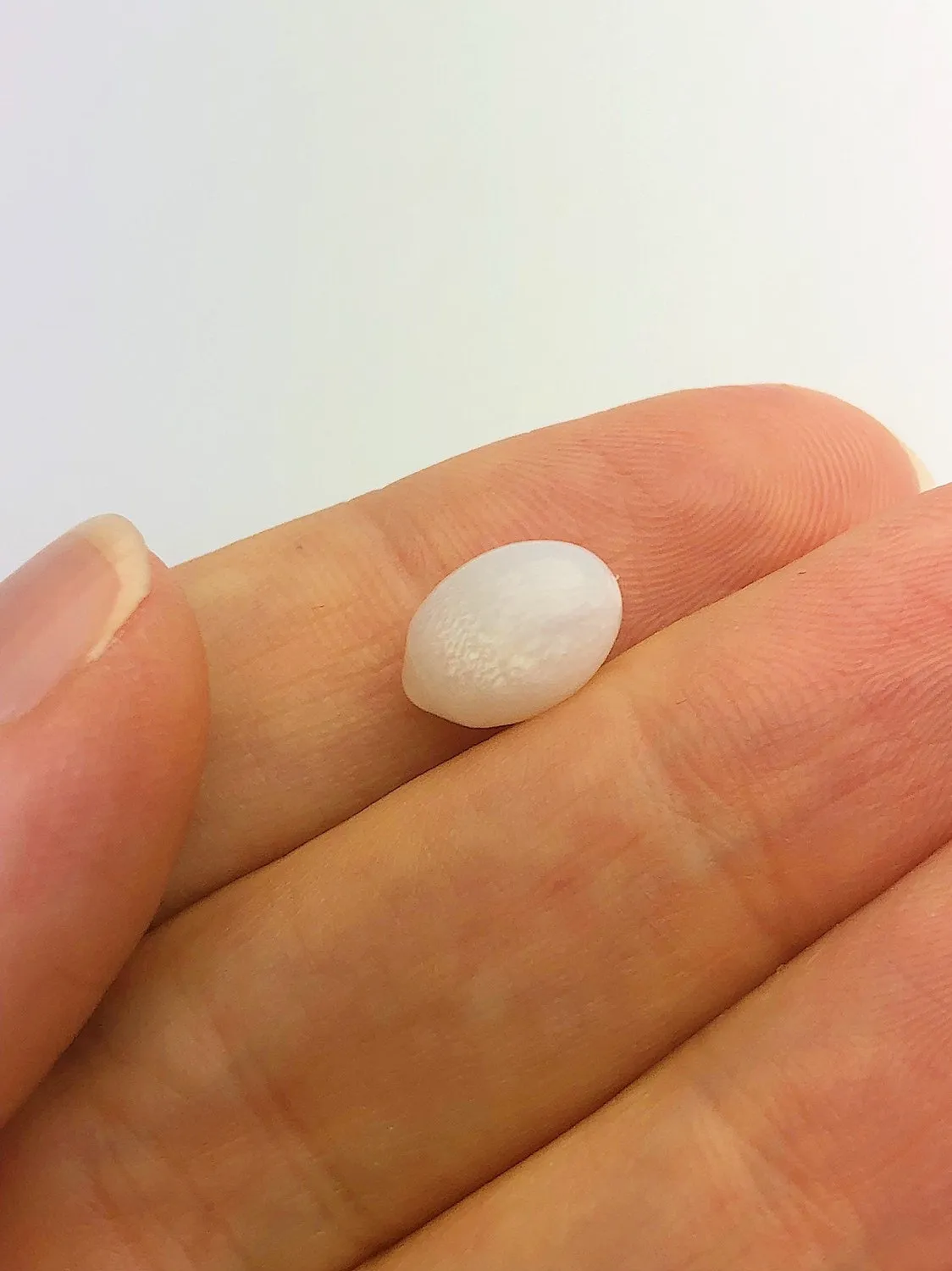Tridacna White Clam Pearl Loose 10.88mm x 7.52mm No. 38