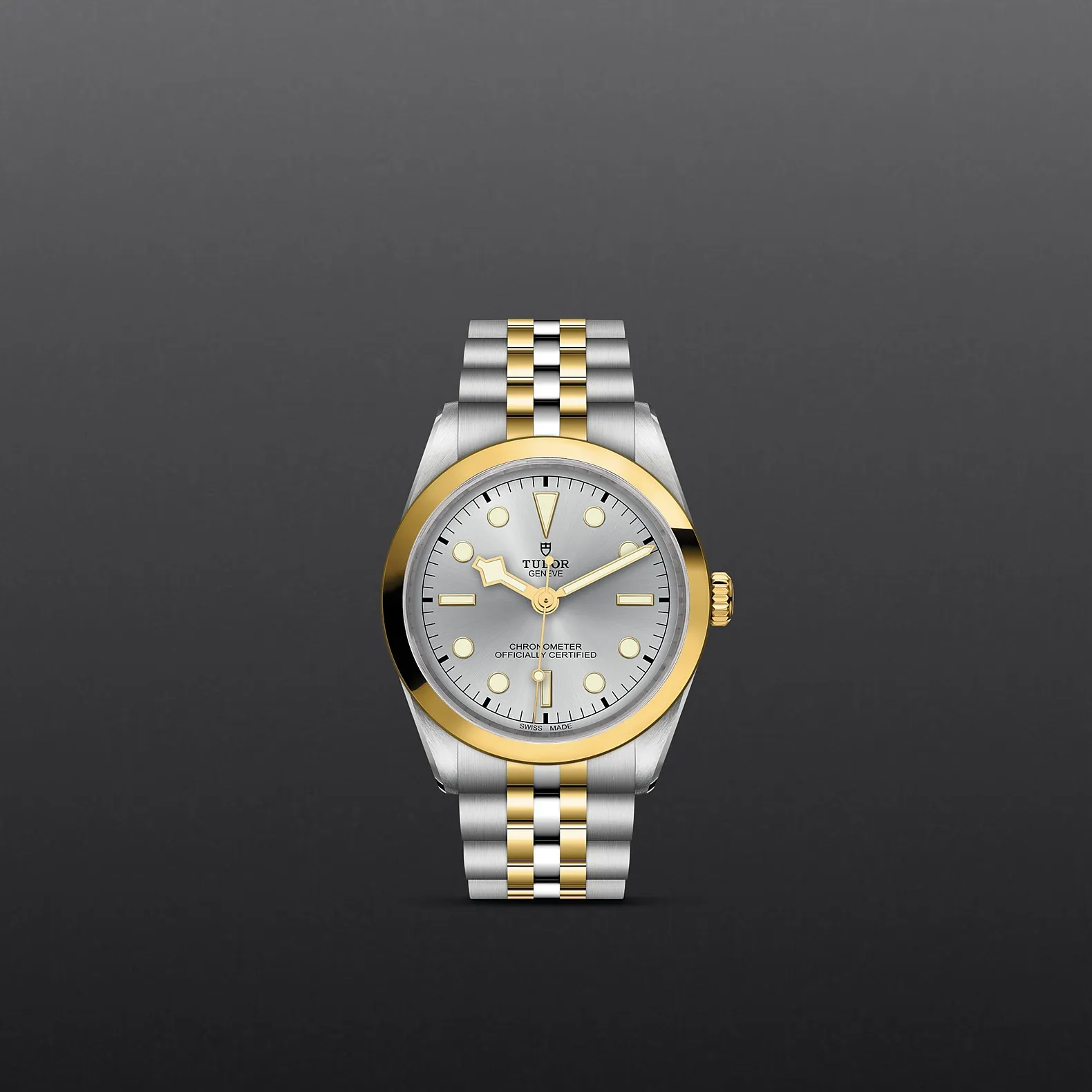 Tudor Black Bay 36 S&G