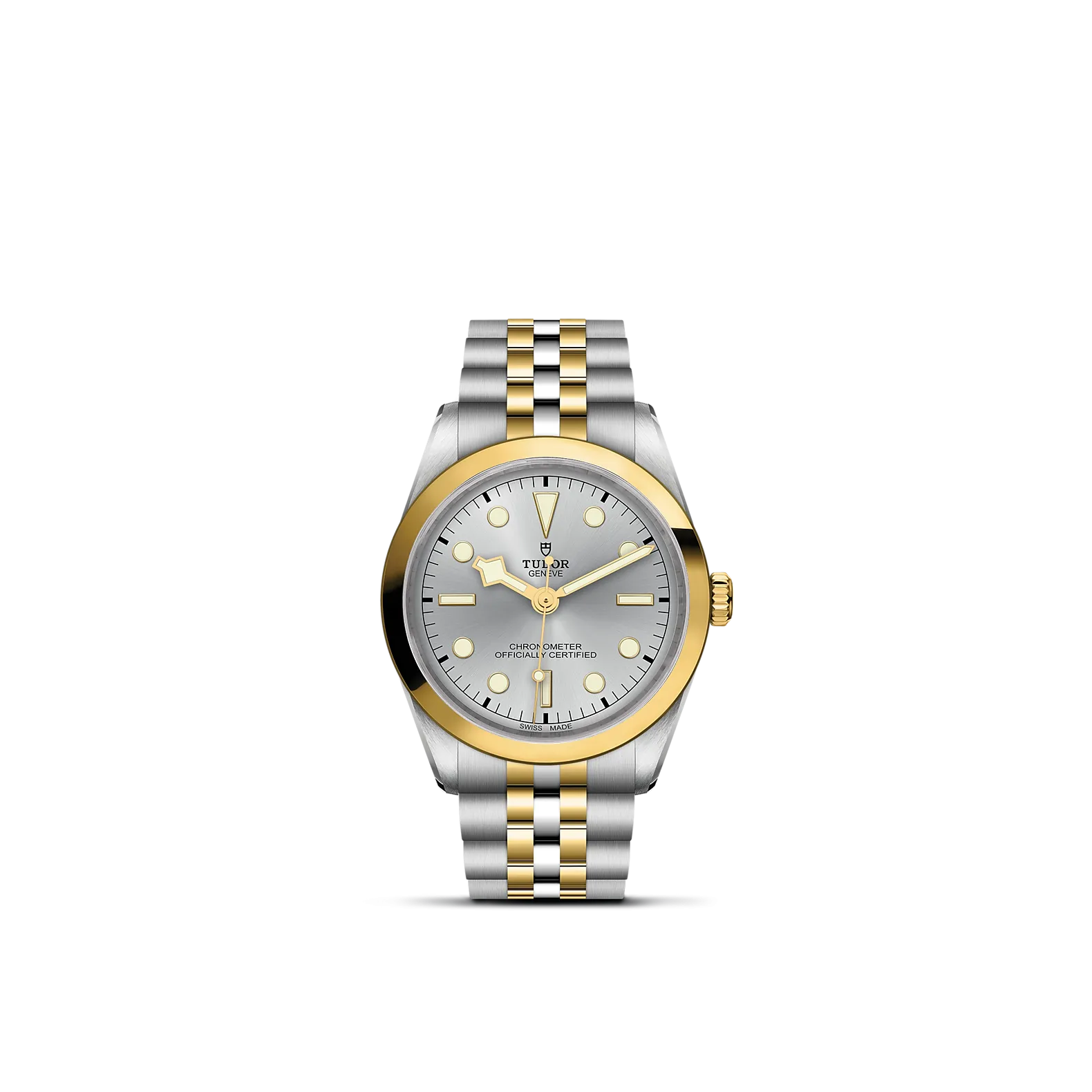 Tudor Black Bay 36 S&G