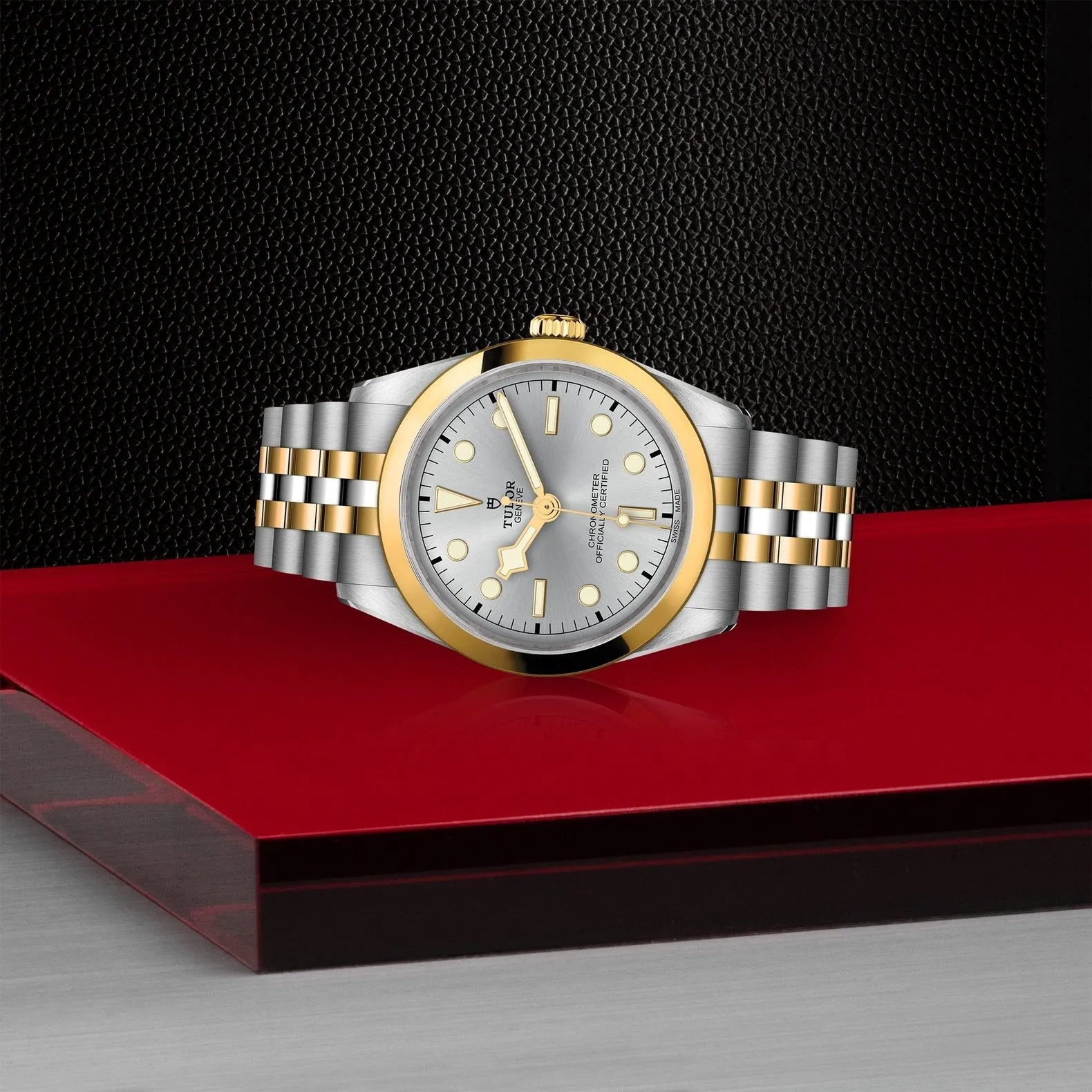 Tudor Black Bay 36 S&G